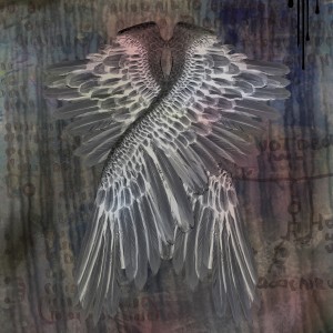 Angel Wings